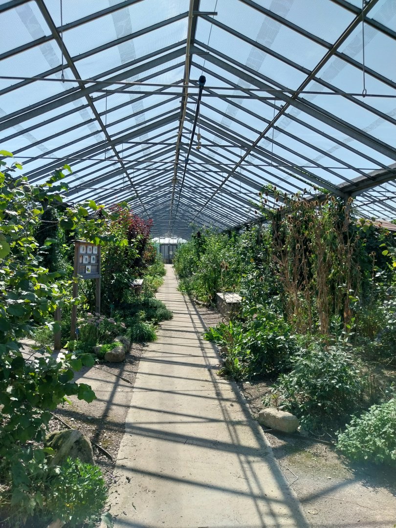 Blumengärten Hirschstetten - Aviary for native songbirds