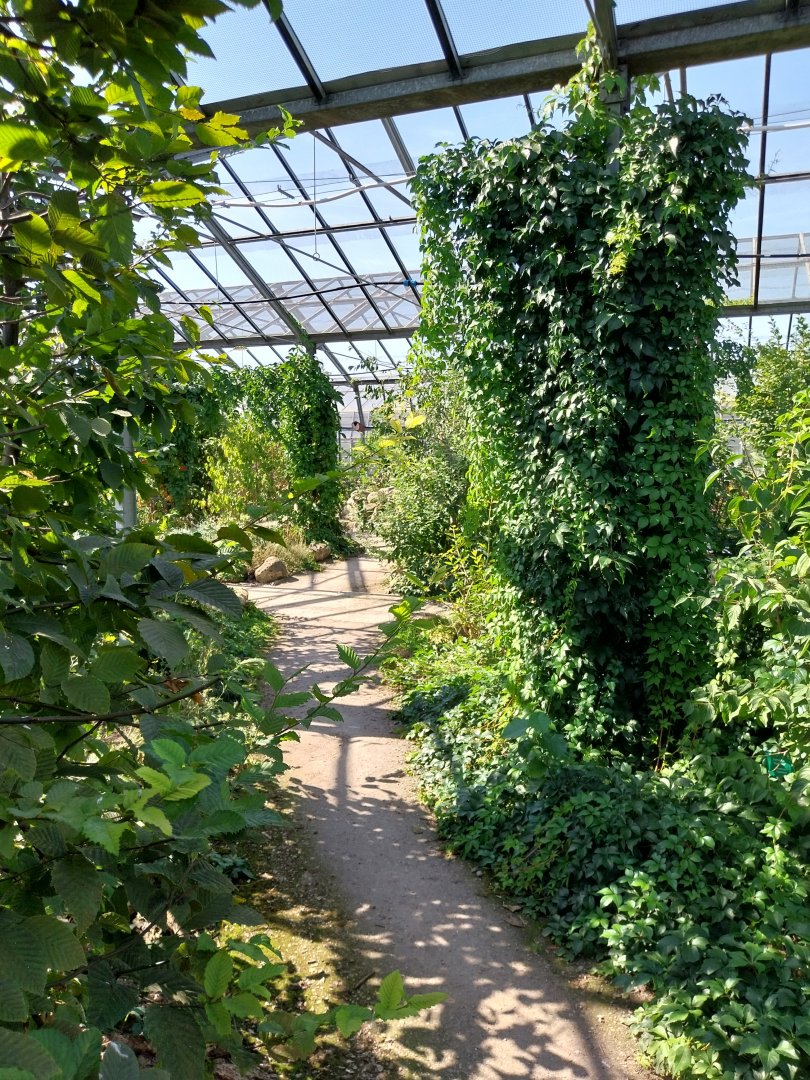 Blumengärten Hirschstetten - Aviary for native songbirds