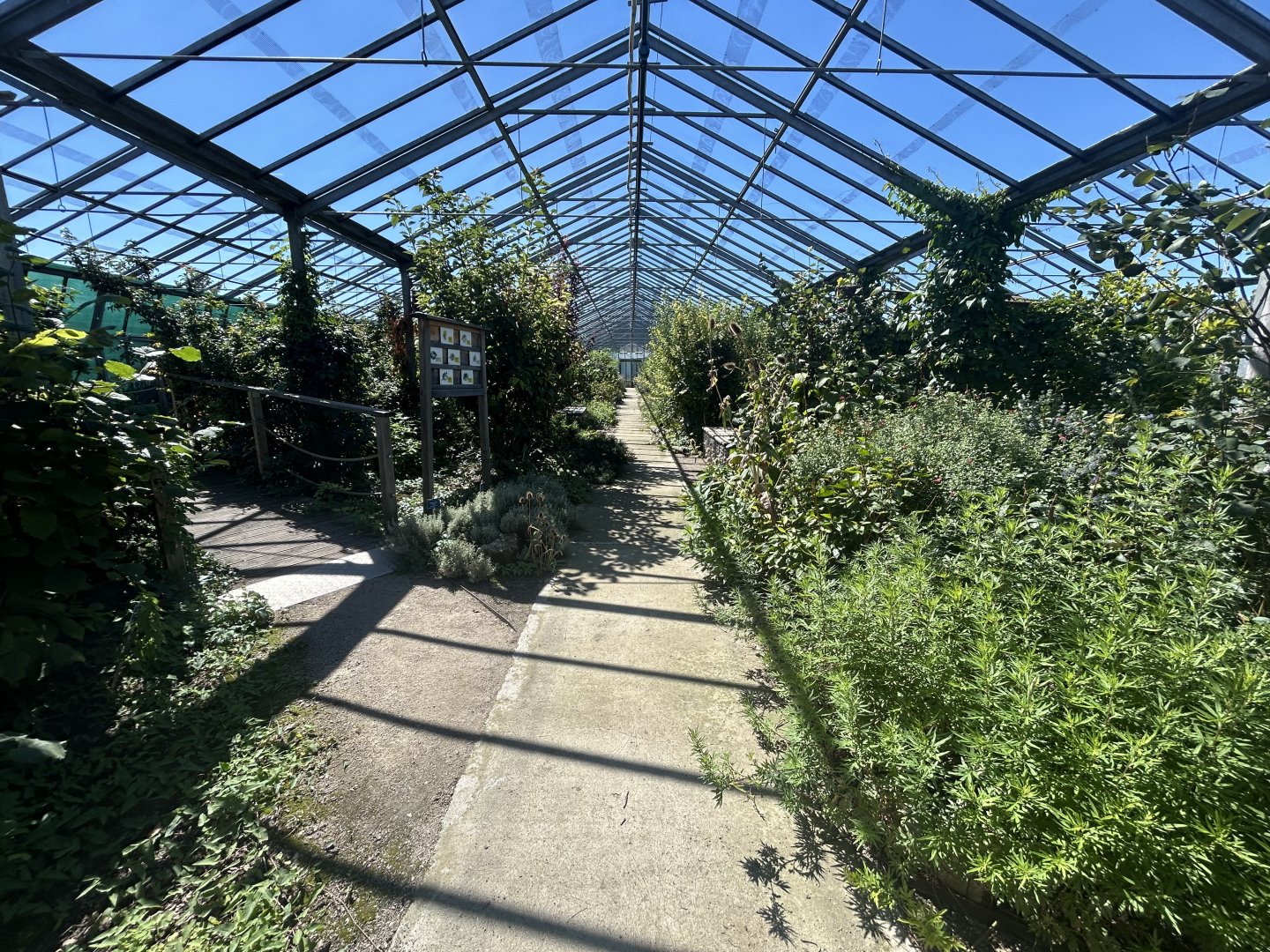 Blumengärten Hirschstetten - Bird House