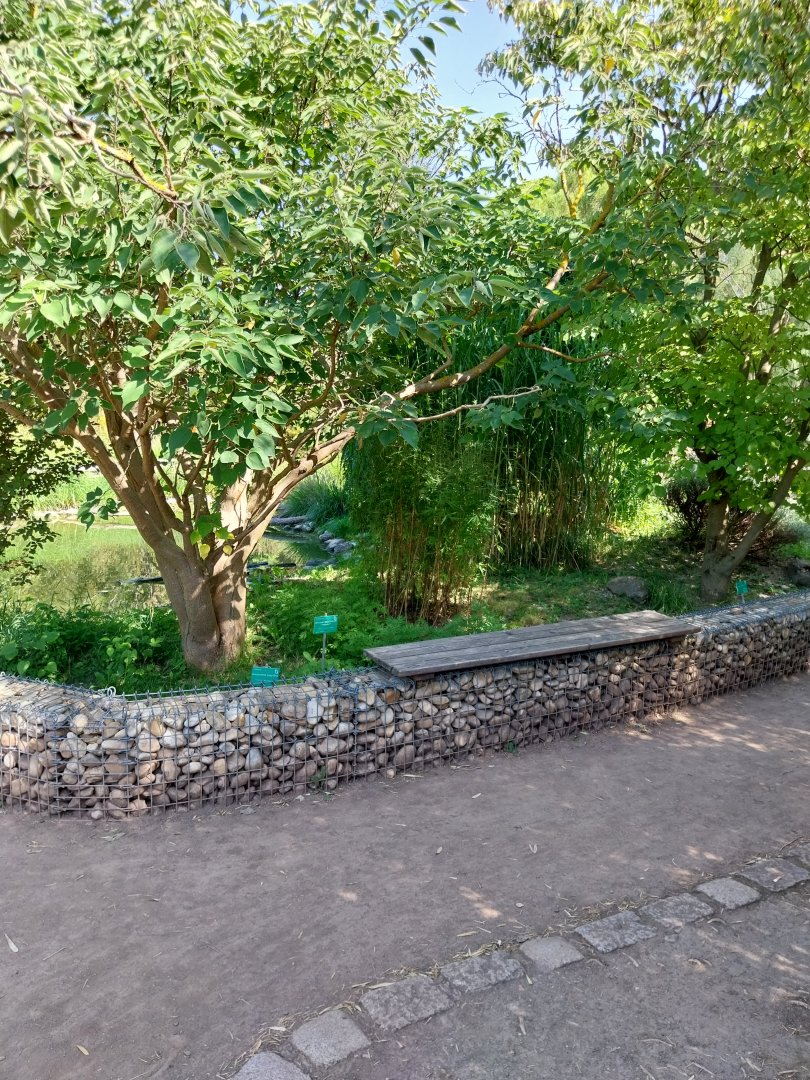 Blumengärten Hirschstetten - Breeding center for European turtles and tortoises