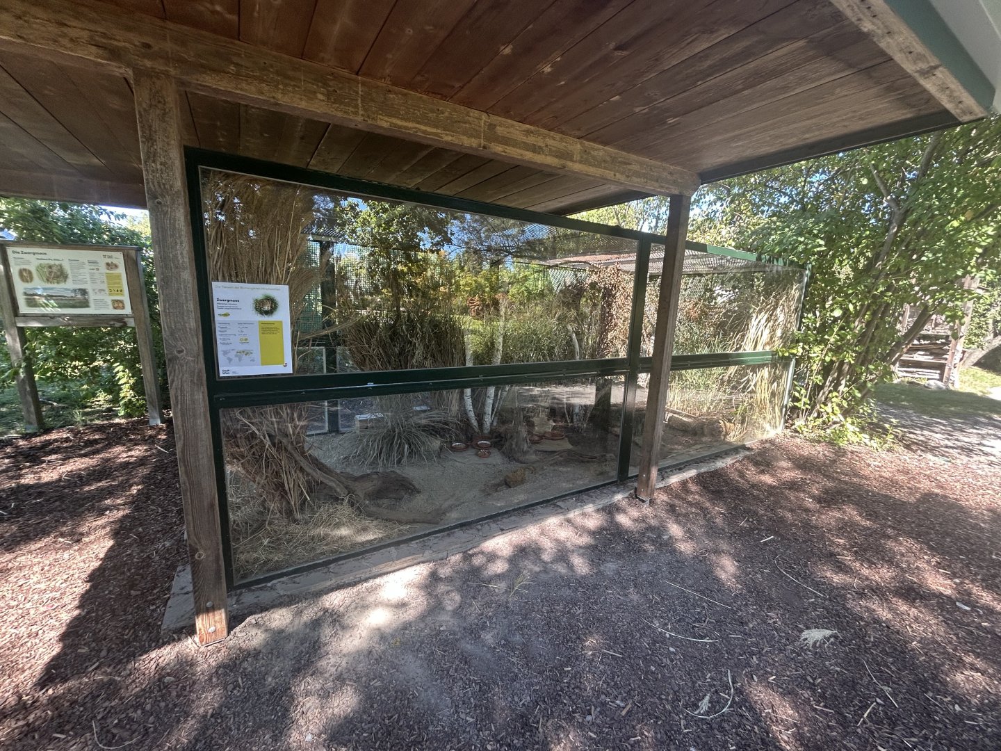 Blumengärten Hirschstetten - Eurasian Harvest Mouse Exhibit