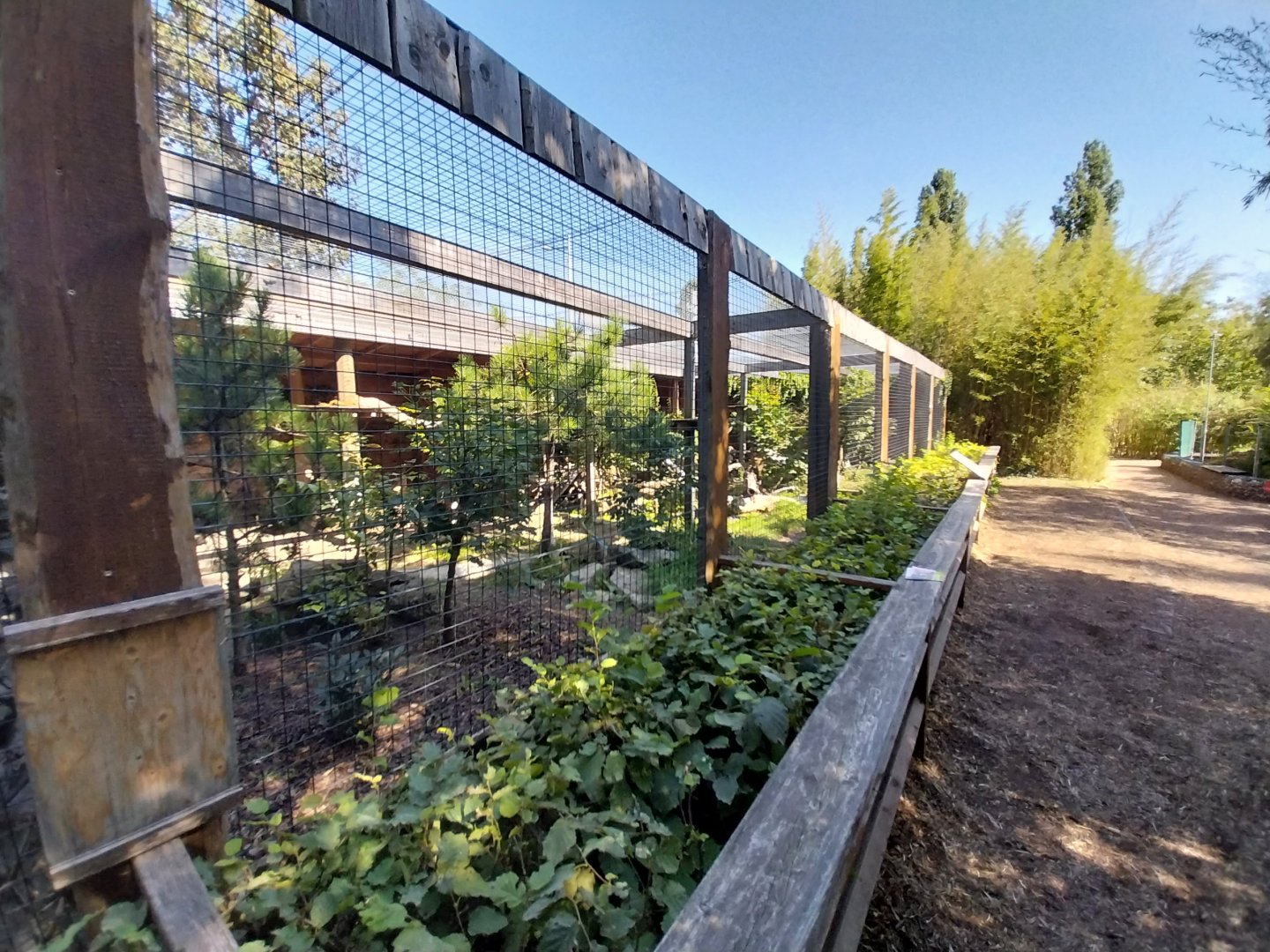 Blumengärten Hirschstetten - European wild cat enclosure
