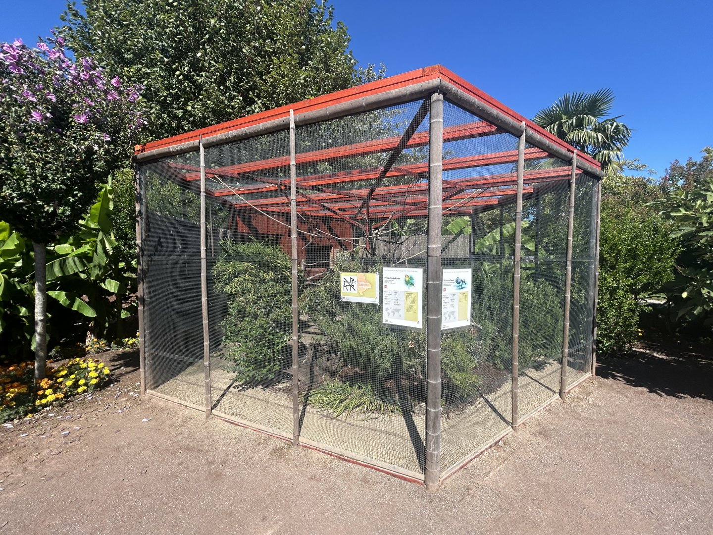 Blumengärten Hirschstetten - Fischer’s Lovebird & Lady Amherst’s Pheasant Aviary