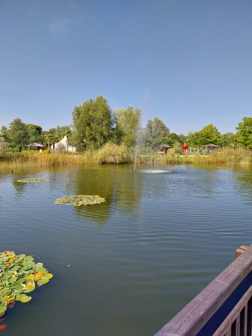 Blumengärten Hirschstetten - General view