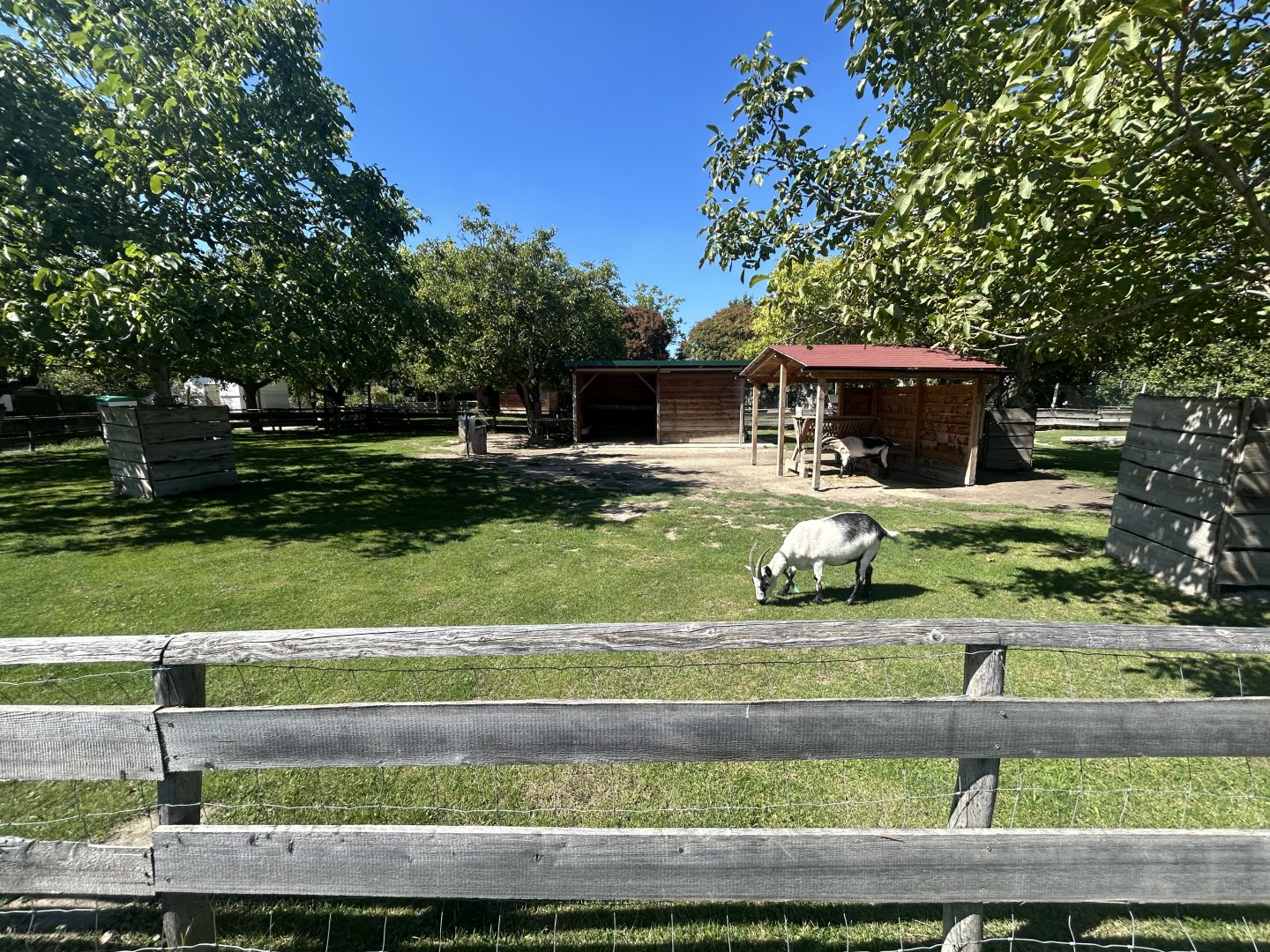 Blumengärten Hirschstetten - Goat Yard