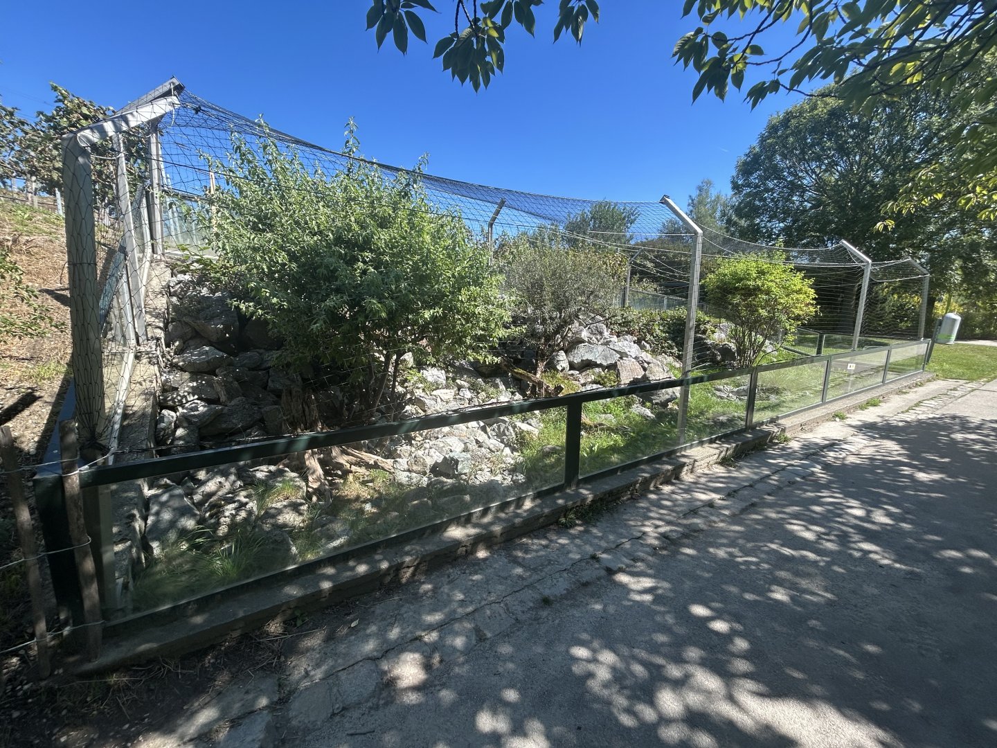 Blumengärten Hirschstetten - Green Lizard Exhibit