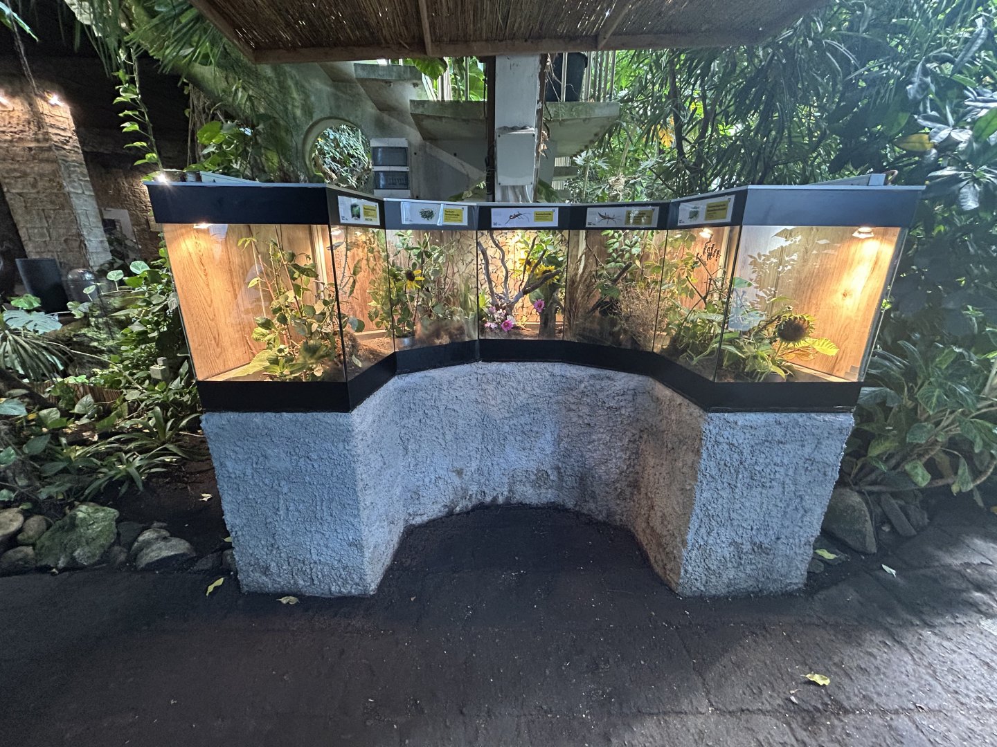 Blumengärten Hirschstetten - Insect Exhibits in Palmenhaus