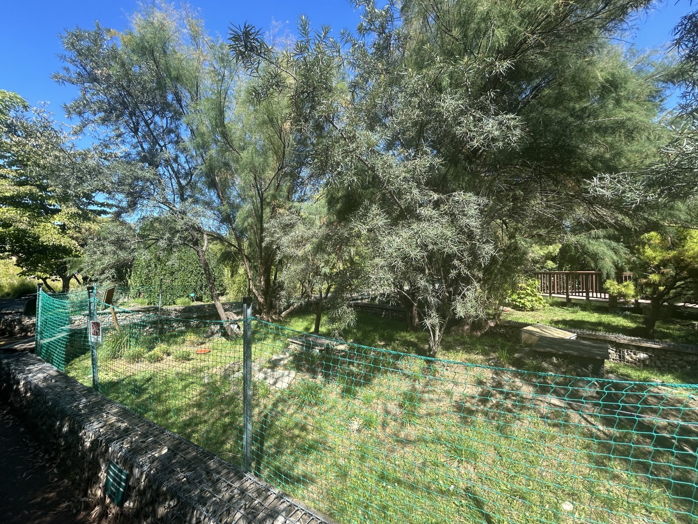 Blumengärten Hirschstetten - Native Tortoise Exhibits