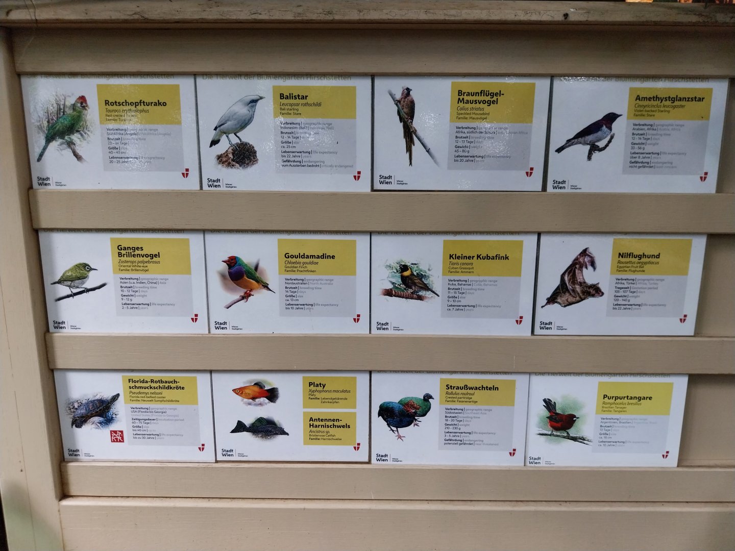 Blumengärten Hirschstetten - Palmenhaus - Animal signs