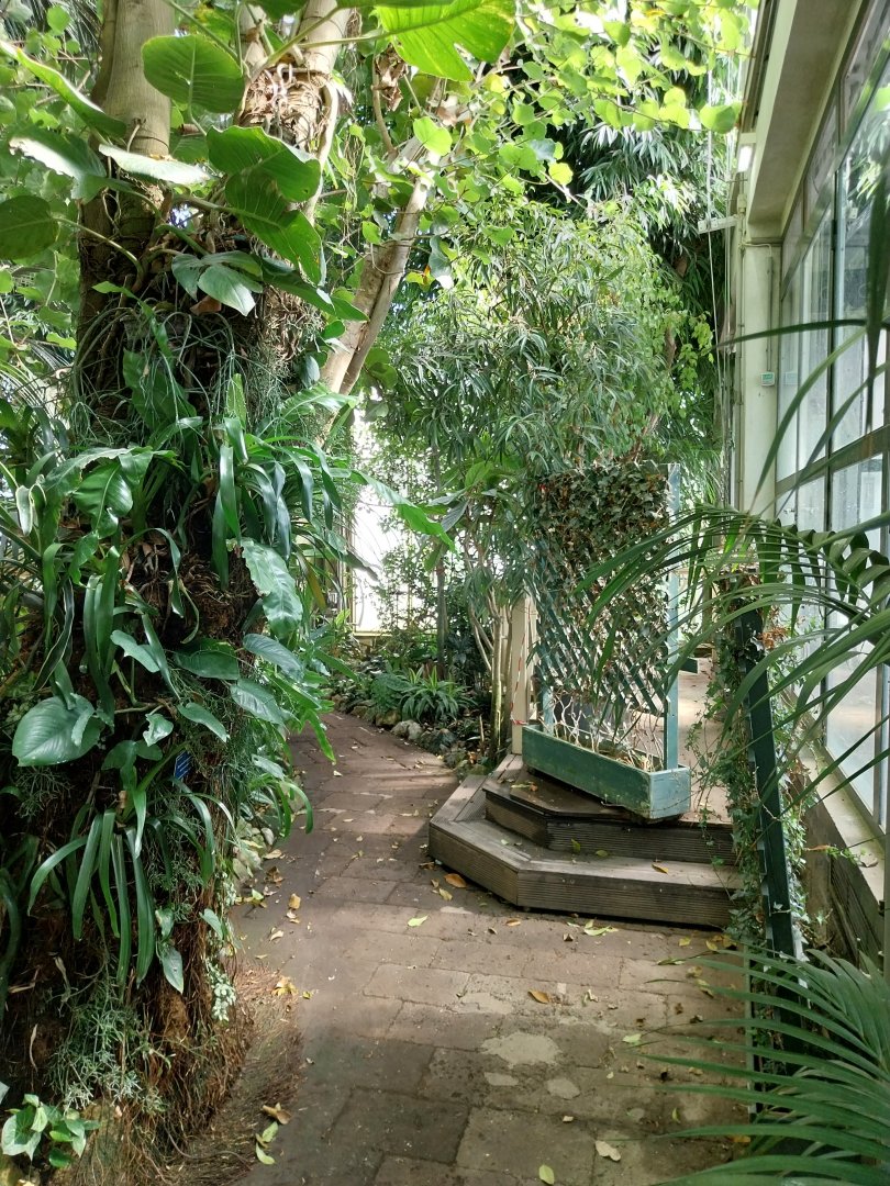 Blumengärten Hirschstetten - Palmenhaus - General view