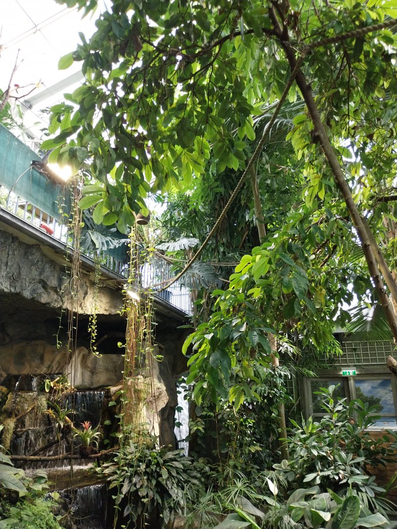Blumengärten Hirschstetten - Palmenhaus - General view