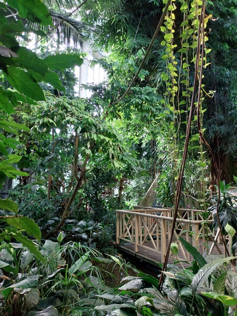 Blumengärten Hirschstetten - Palmenhaus - General view