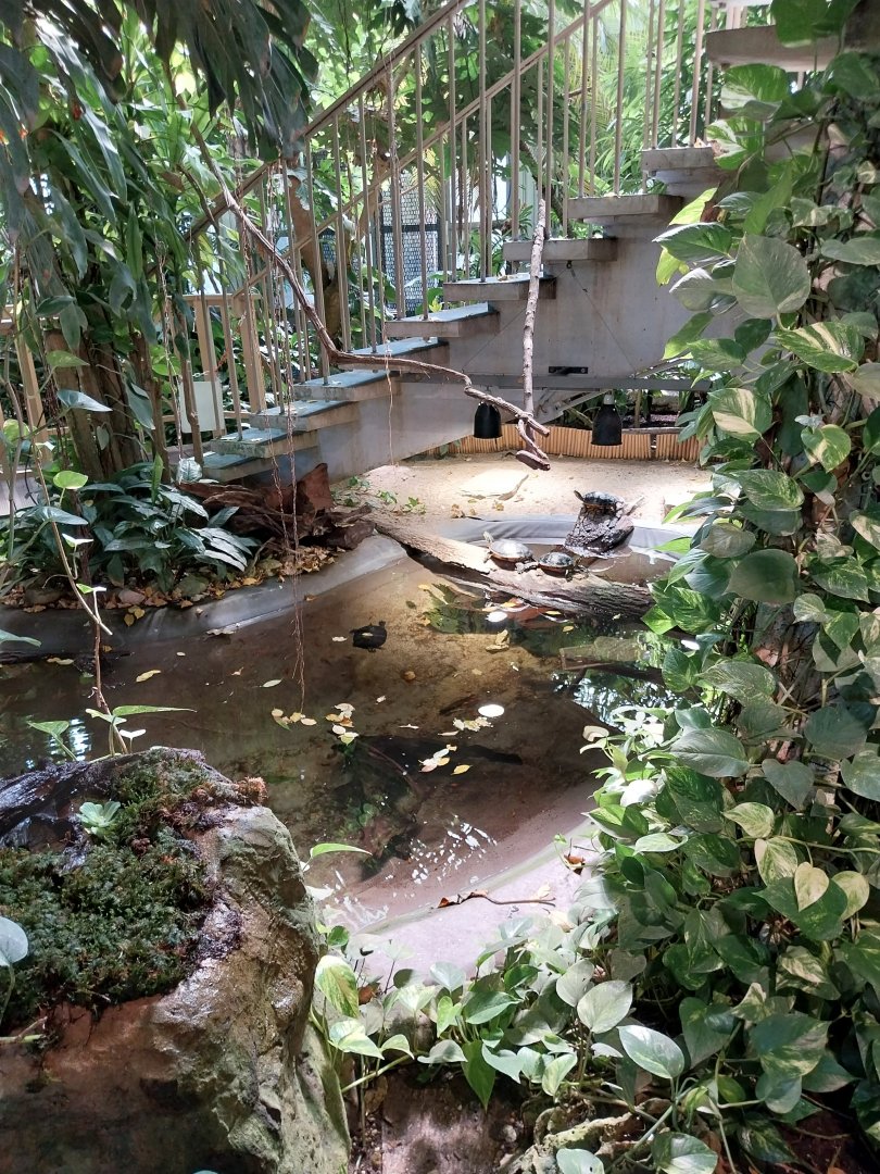 Blumengärten Hirschstetten - Palmenhaus - General view