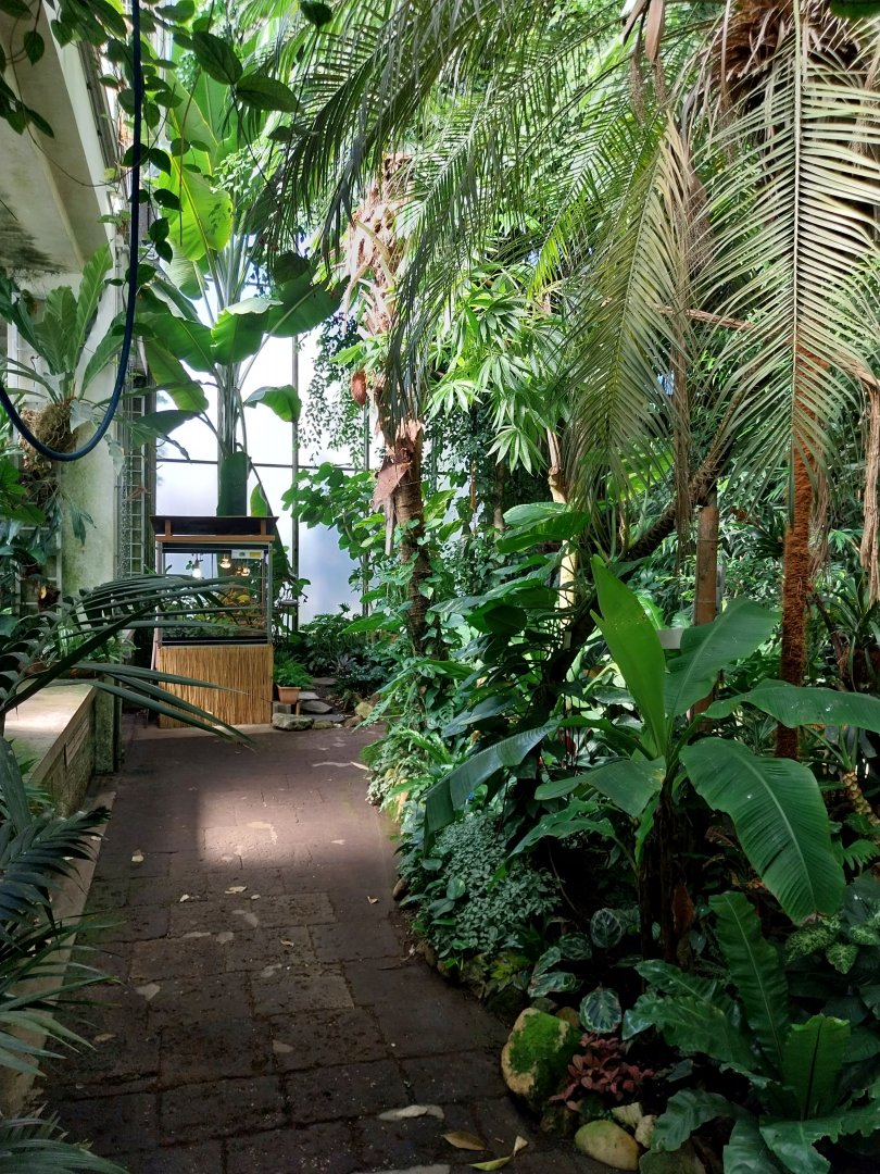 Blumengärten Hirschstetten - Palmenhaus - General view