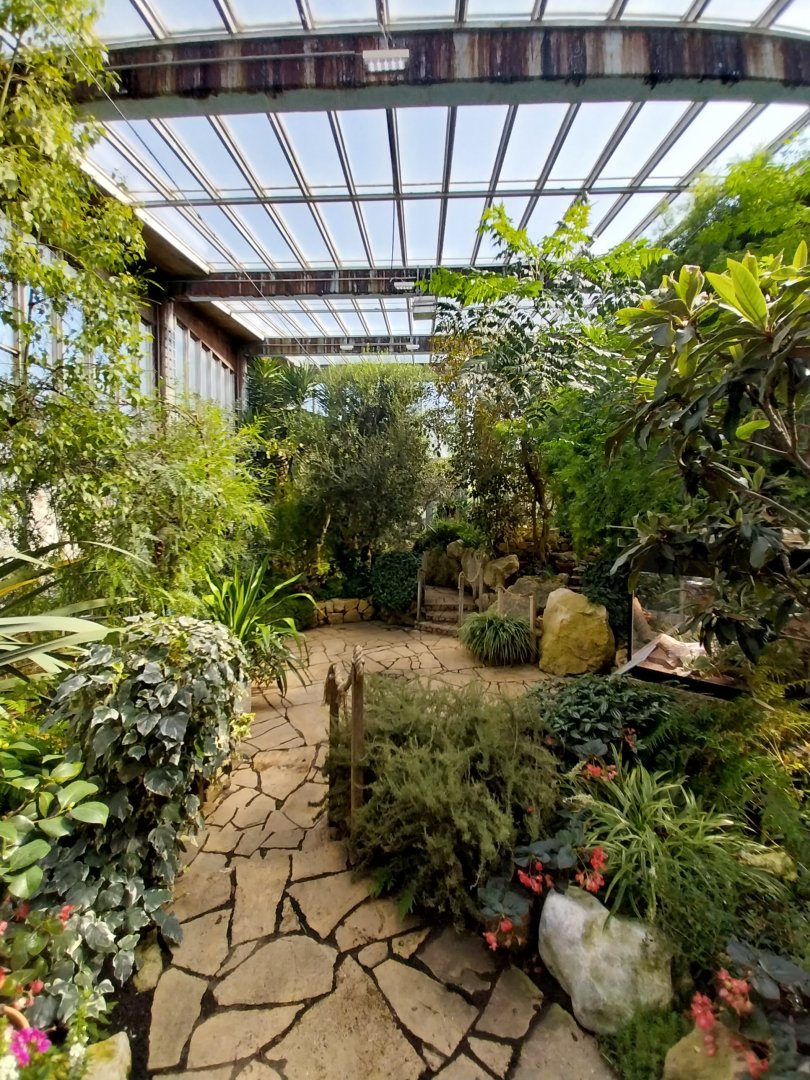 Blumengärten Hirschstetten - Palmenhaus - Mediterranean conservatory