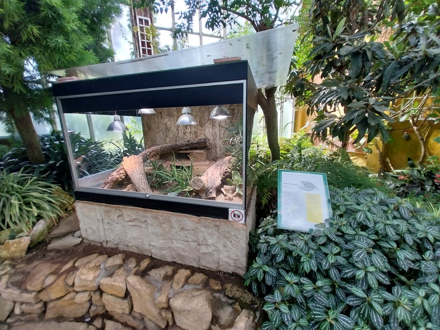 Blumengärten Hirschstetten - Palmenhaus - Mediterranean conservatory