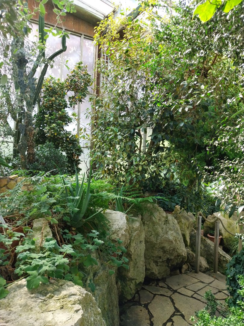 Blumengärten Hirschstetten - Palmenhaus - Mediterranean conservatory