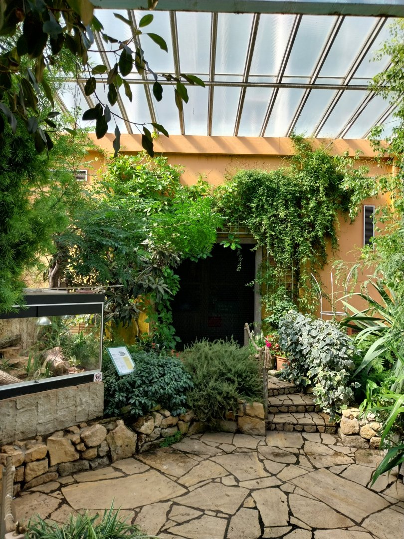 Blumengärten Hirschstetten - Palmenhaus - Mediterranean conservatory