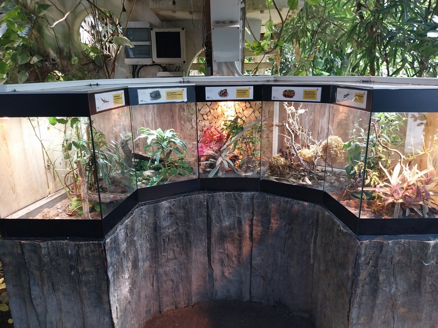 Blumengärten Hirschstetten - Palmenhaus - Terraria for insects