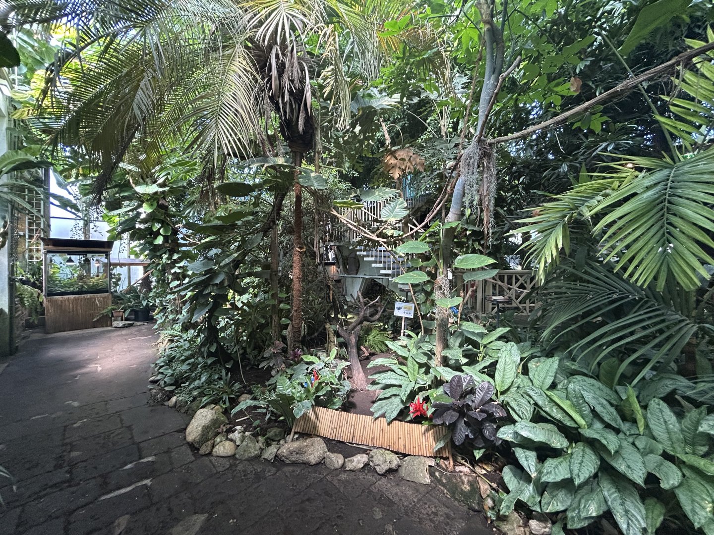 Blumengärten Hirschstetten - Palmenhaus