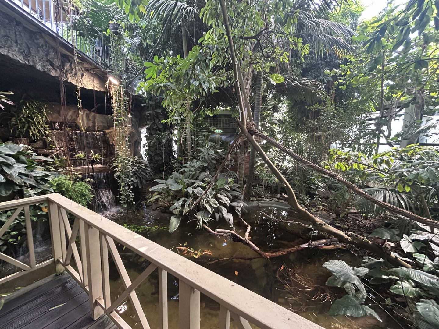 Blumengärten Hirschstetten - Palmenhaus