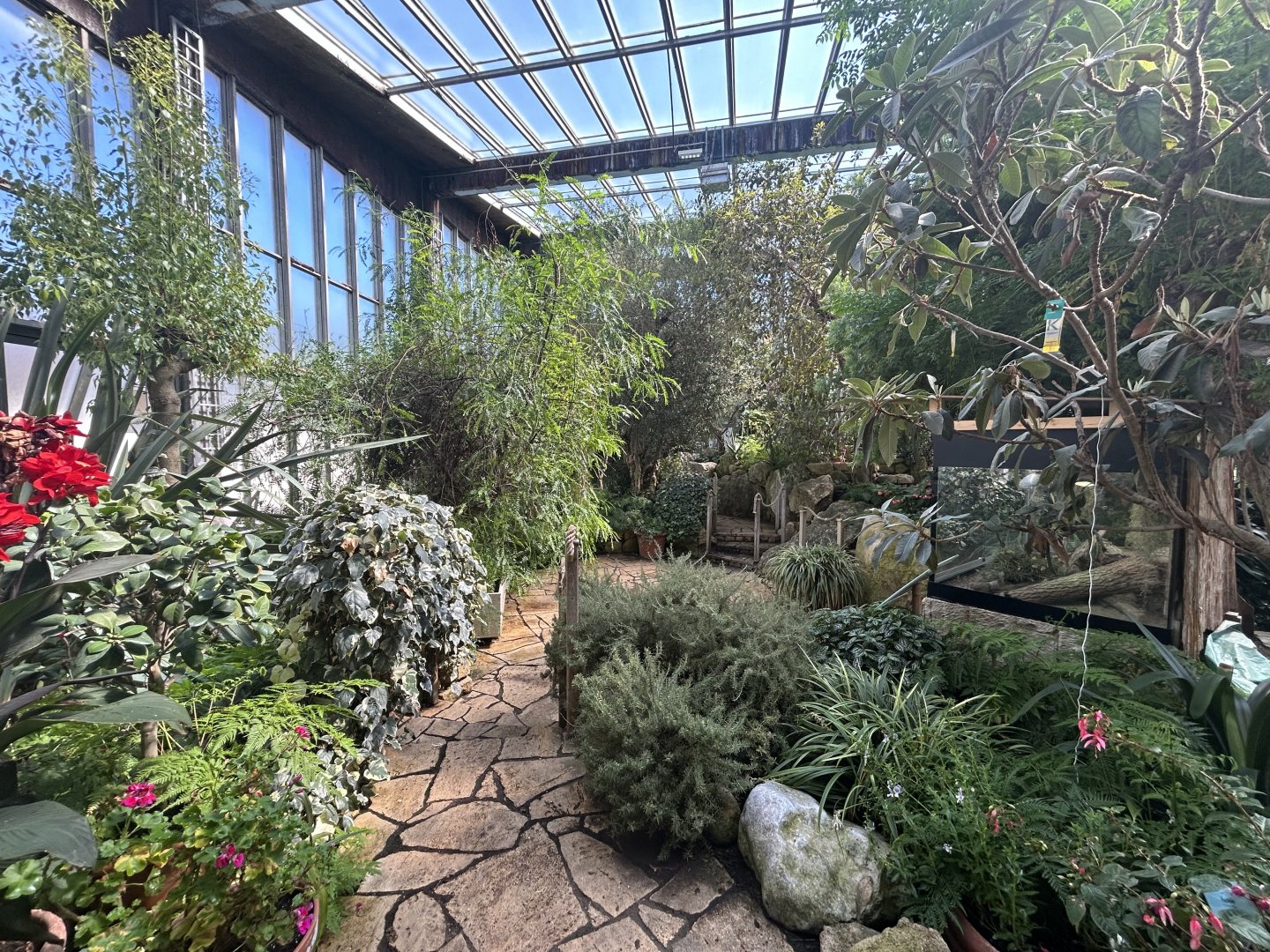 Blumengärten Hirschstetten - Palmenhaus