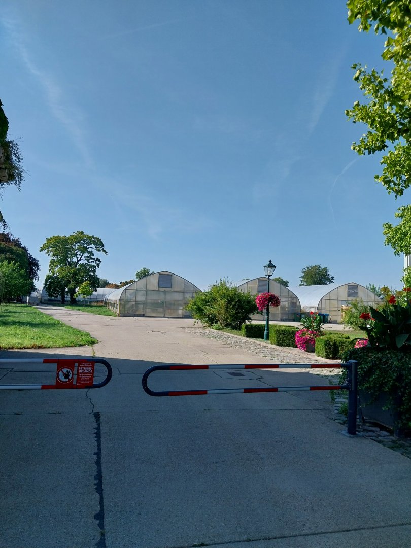 Blumengärten Hirschstetten - Plant nursery