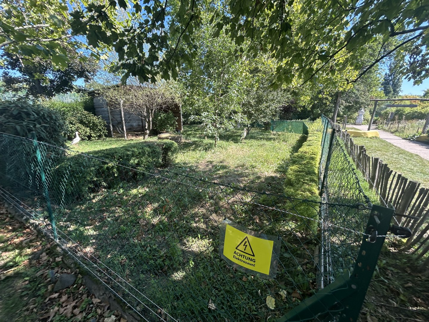 Blumengärten Hirschstetten - White Stork Exhibit #1