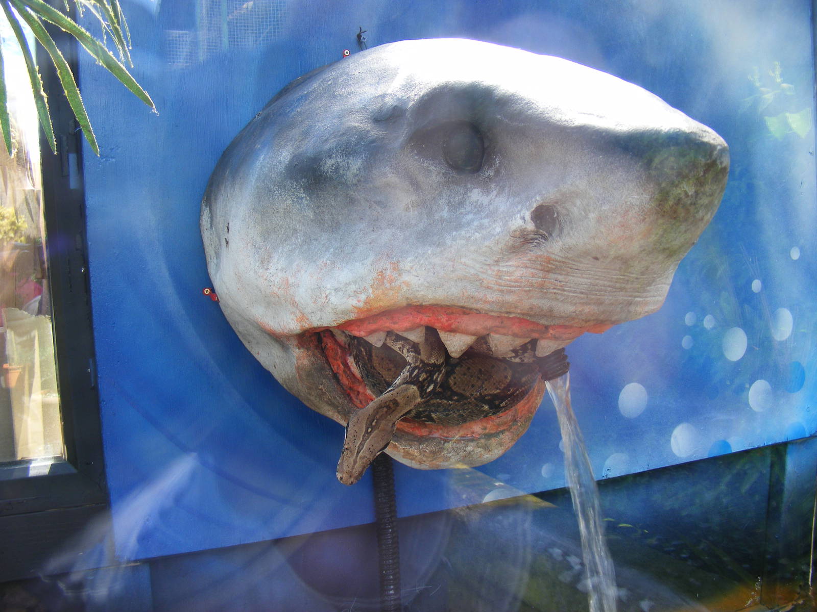 Boa constrictor at Wickid Pets Animal Adventure, 11 June 2011