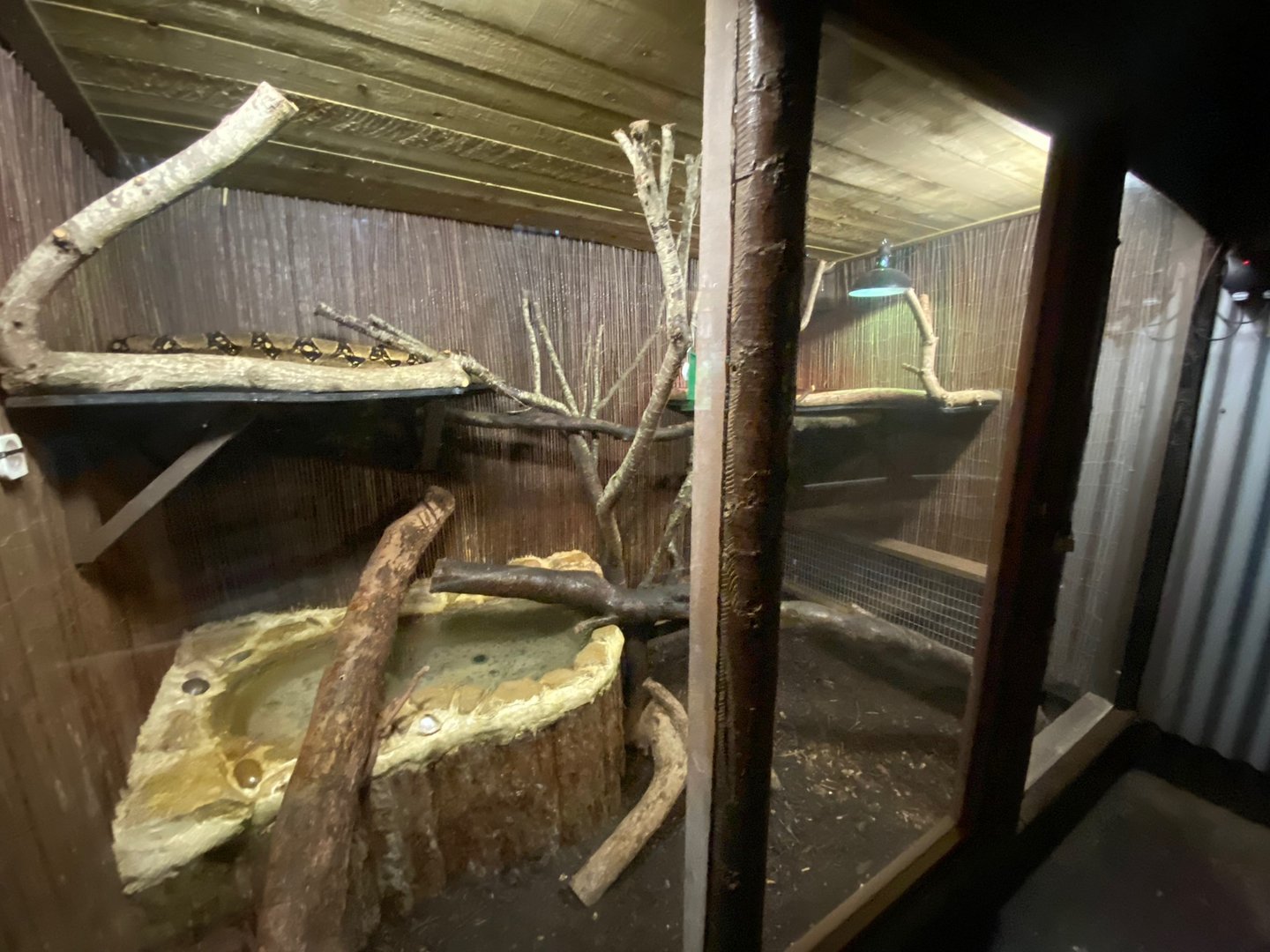 Boa constrictor enclosure 140923