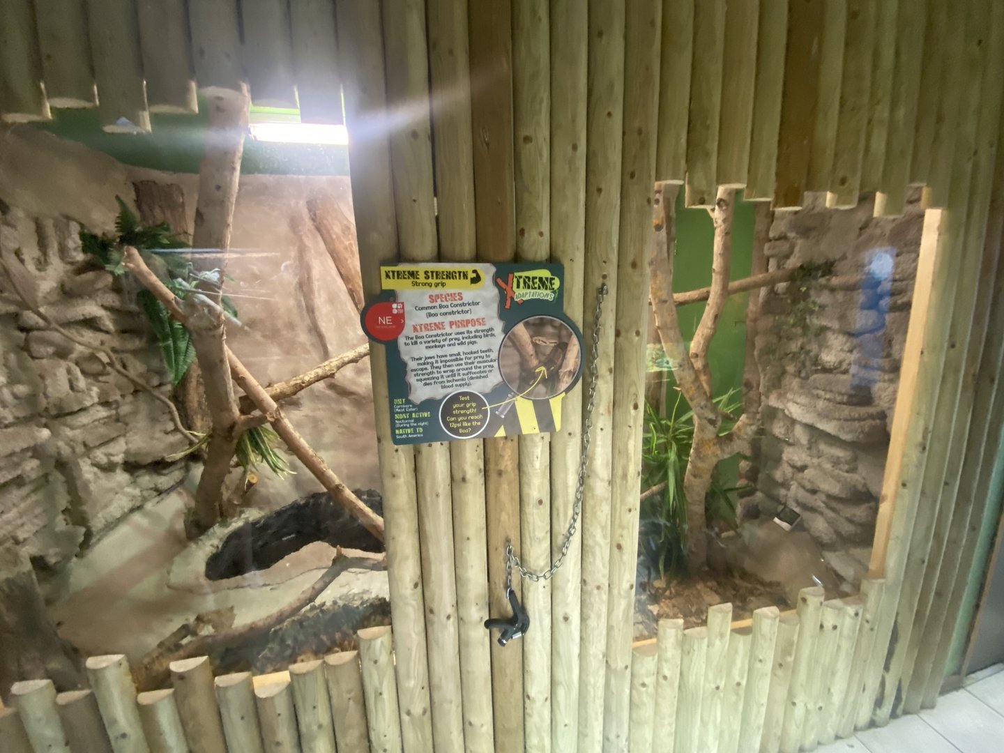 Boa constrictor exhibit 150723
