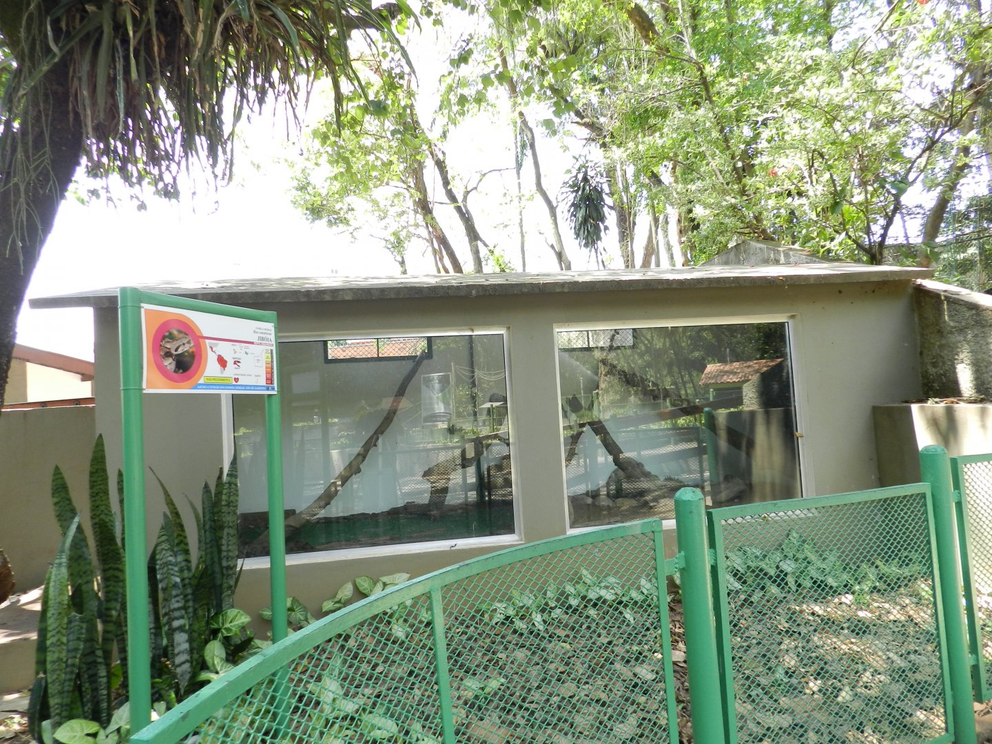 Boa constrictor exhibit - Campinas zoo (BDJ)