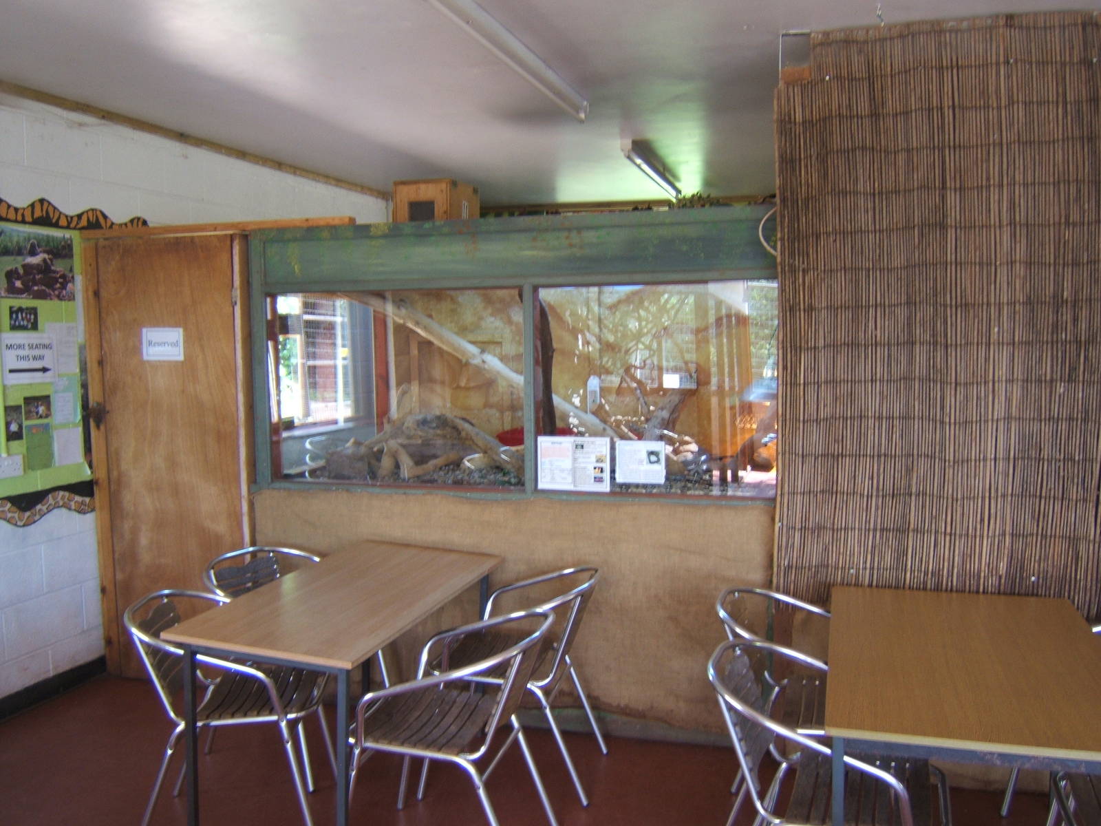 Boa Constrictor exhibit in inside Picnic area
