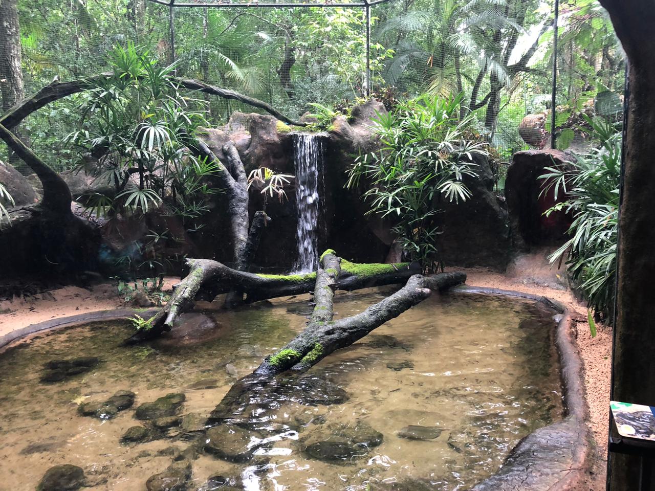 Boa constrictor exhibit - parque das aves