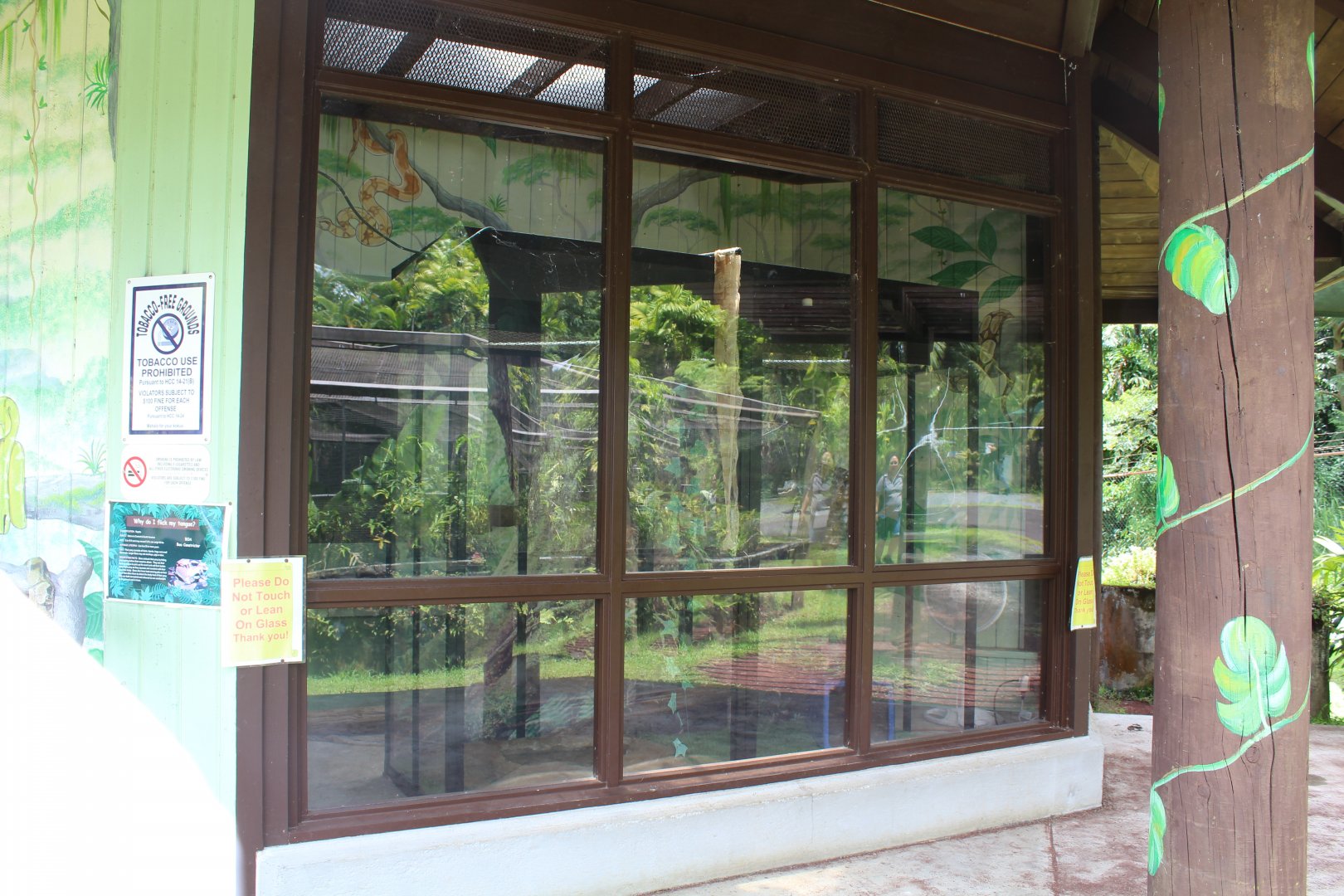 Boa Constrictor Exhibit