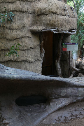 boa constrictor exhibit