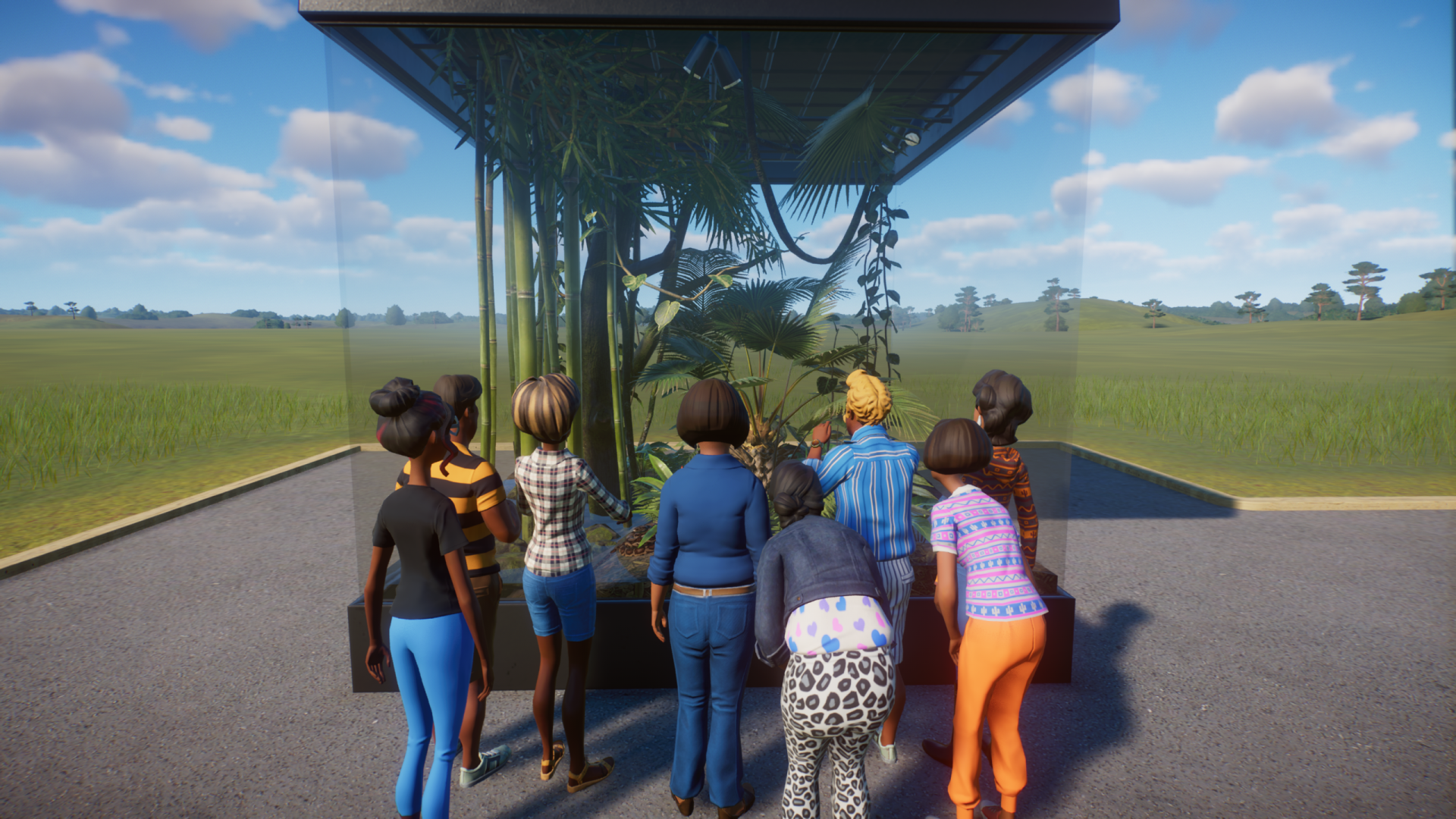 Boa Constrictor tank