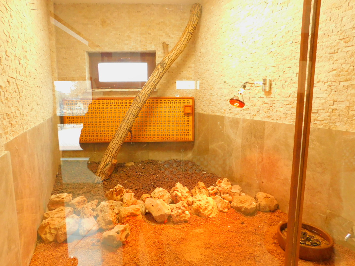 Boa enclosure at the Karatay Zoo