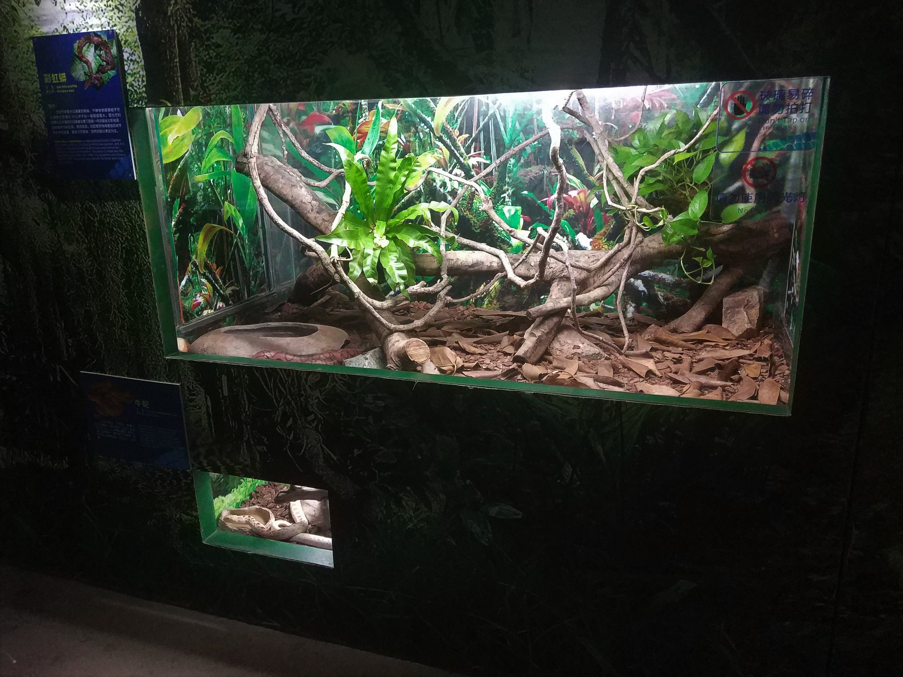 Boa Terrarium