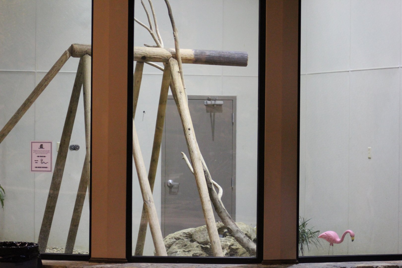 Boa & Tortoise Enclosure