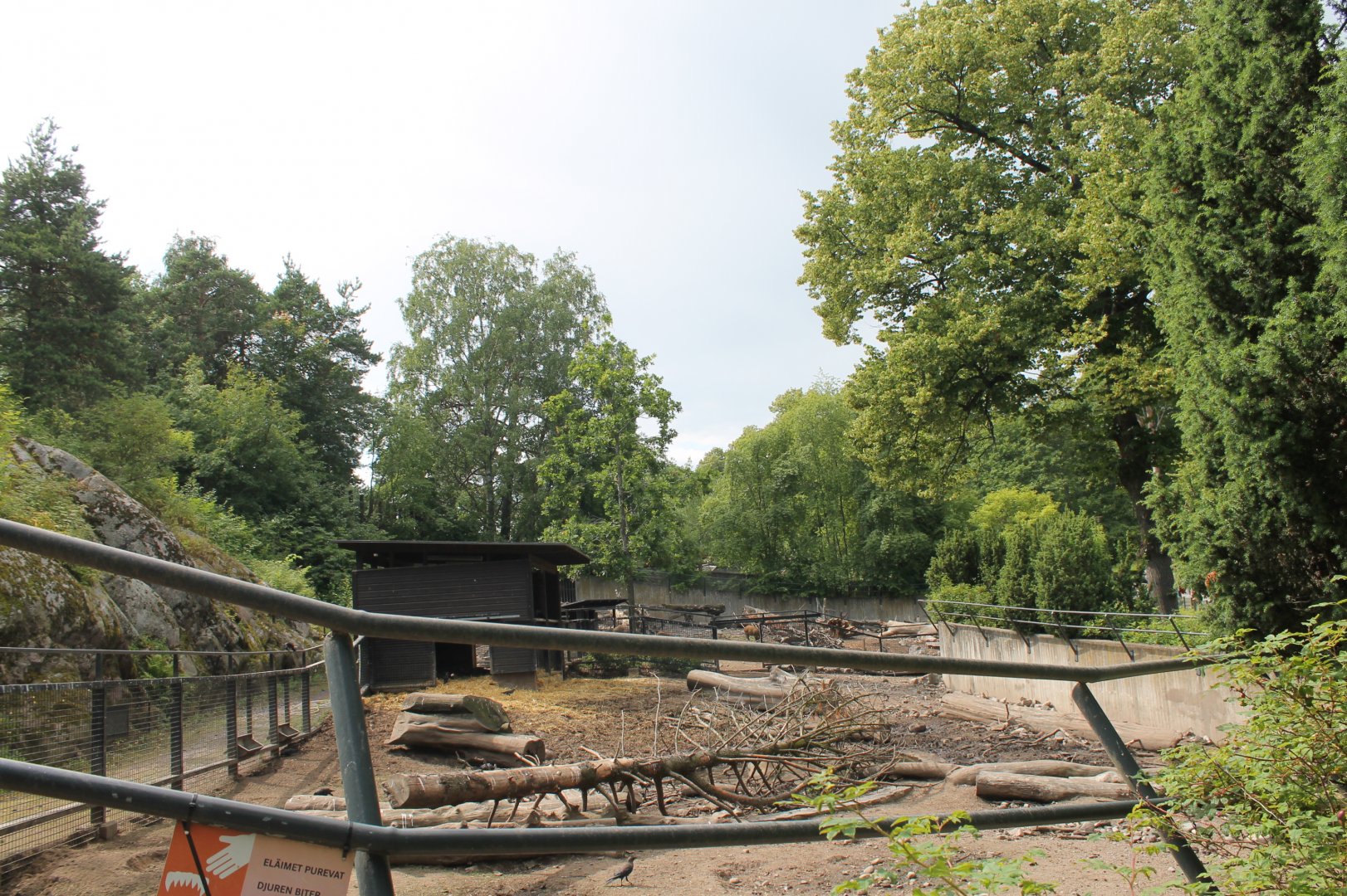 Boar Enclosure