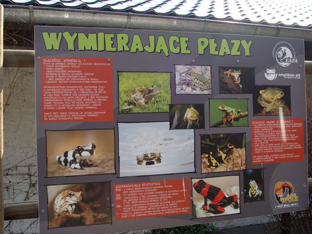 Board about amphibians