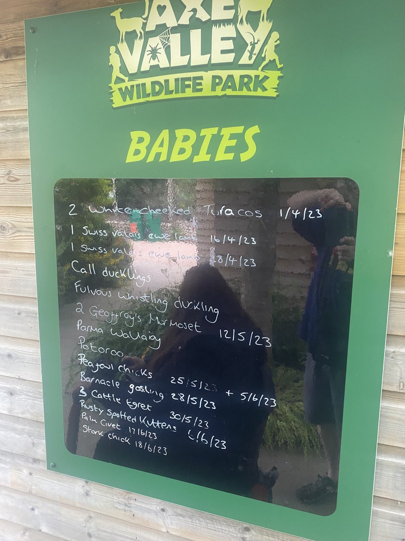 Board showing recent births 300623