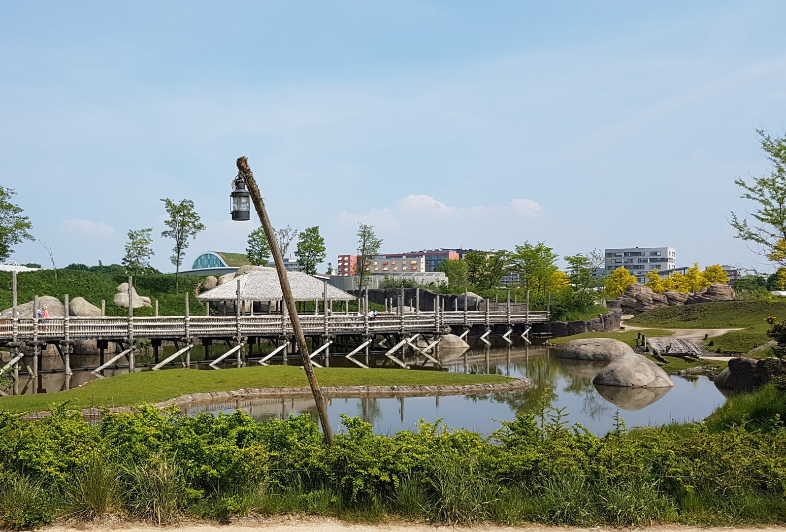 Board-walk along lions and savanna
