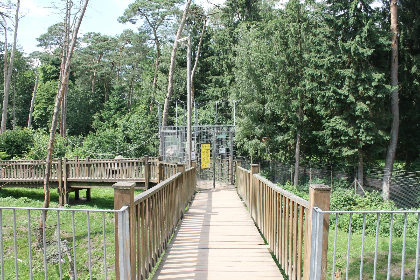 Board-walk though Barbary macaque walk-through