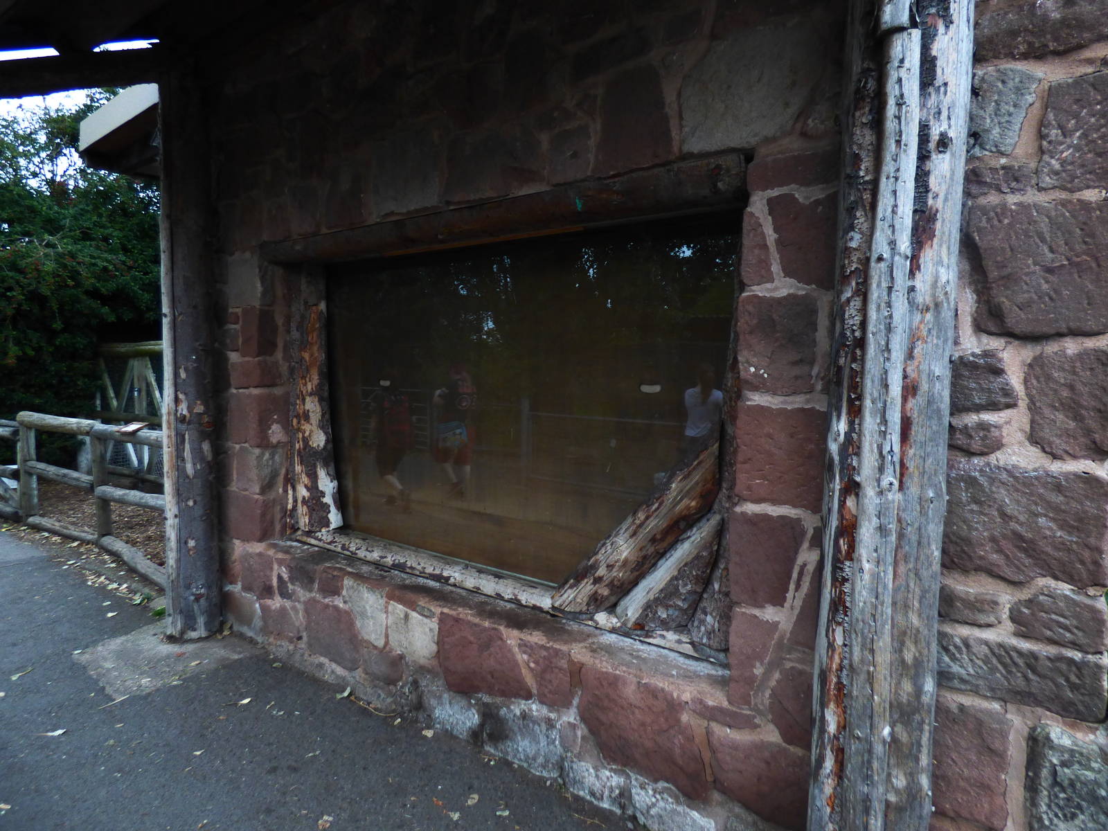 Boarded up Brazillian Tapir Indoor Enclosure