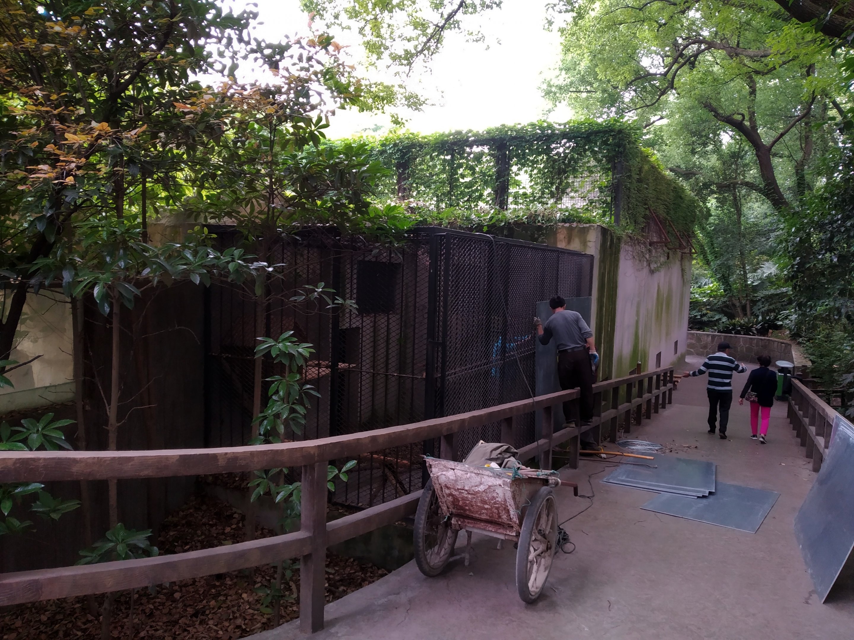 Boarding Up The Old Leopard Cat Exhibit