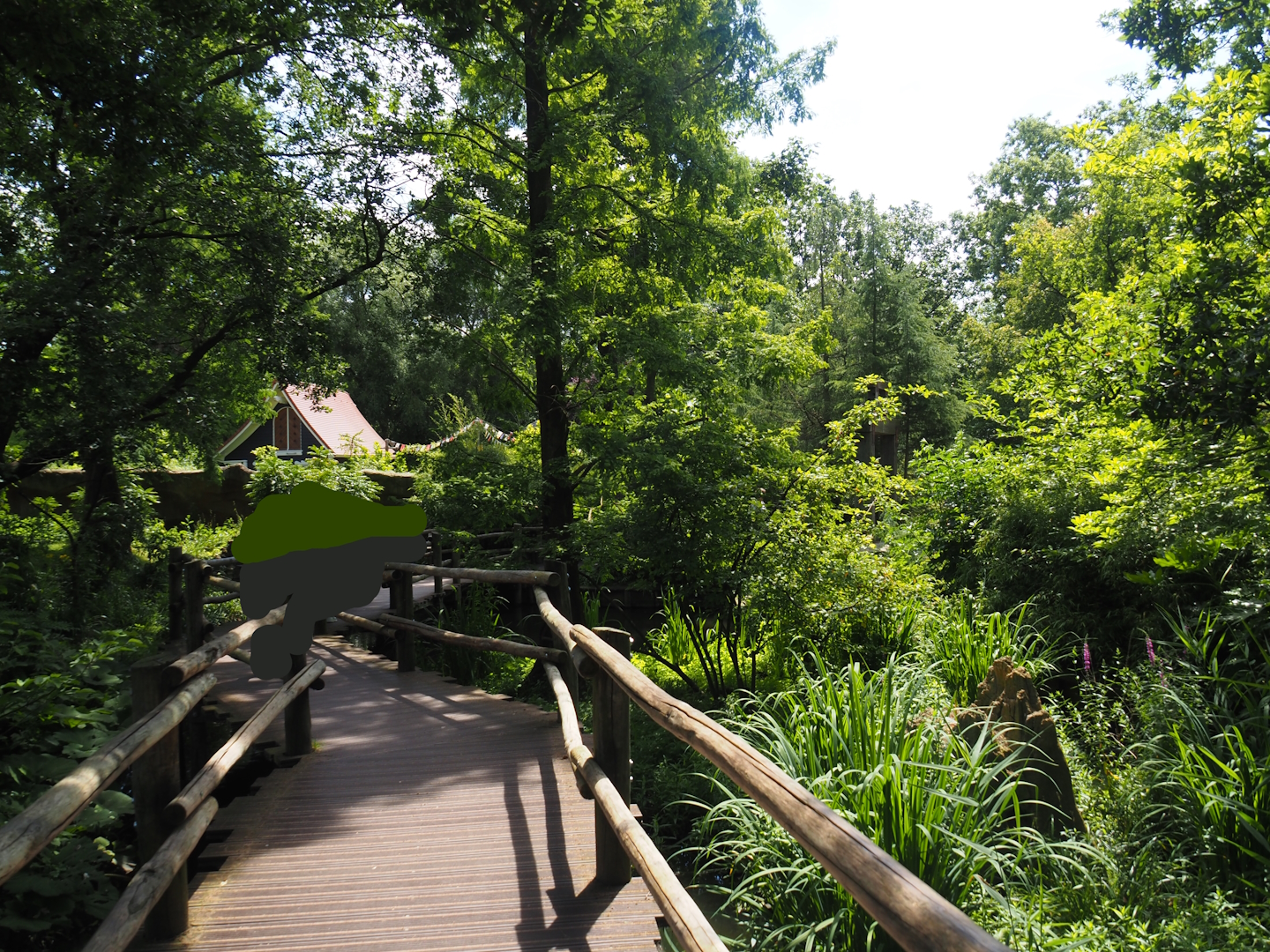 Boardwalk above the second red panda exhibit, 2024-06-30