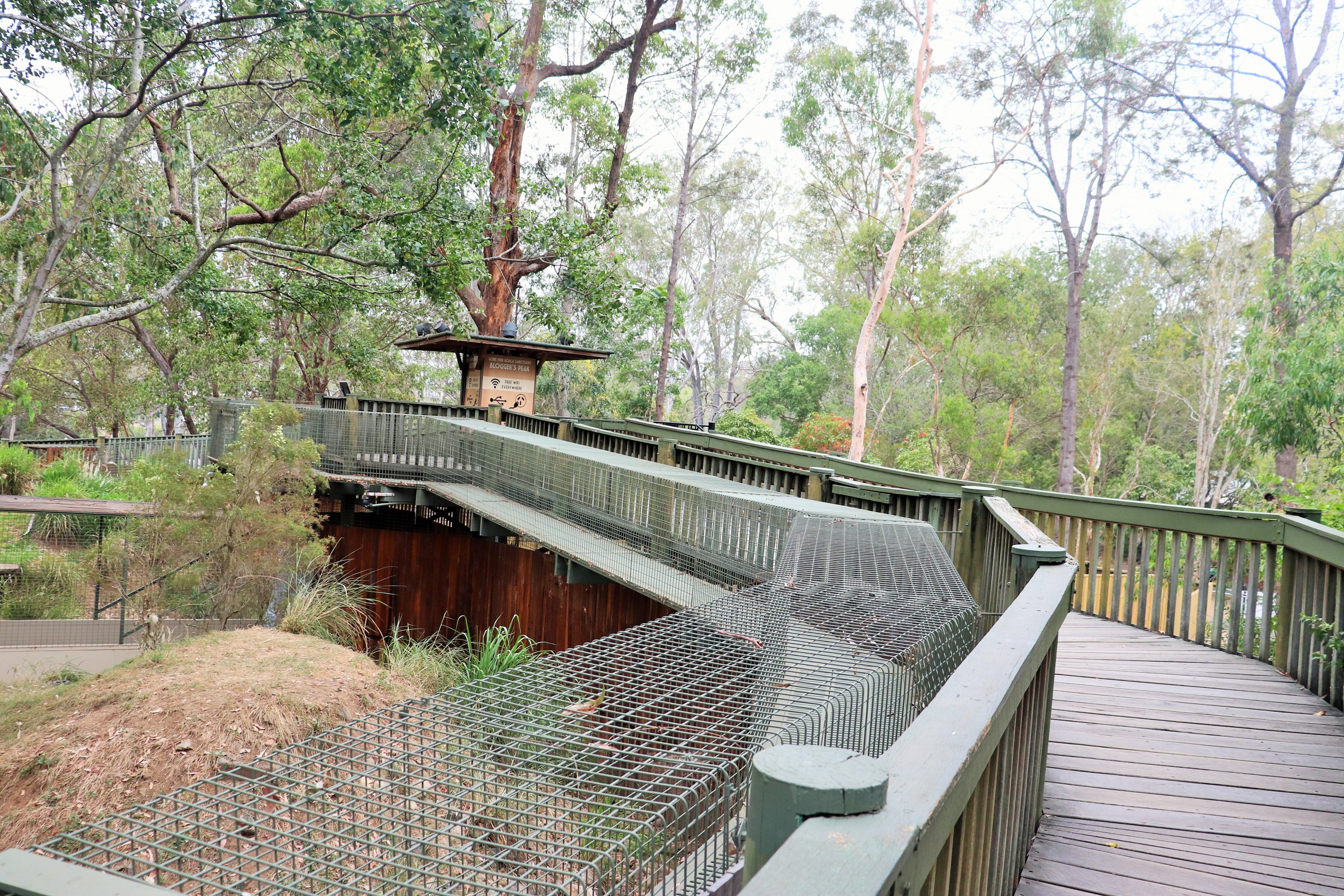Boardwalk Along Dingo Enclosure