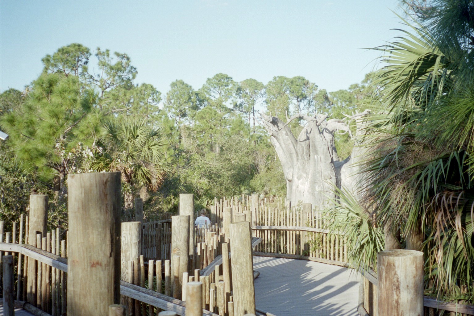 Boardwalk and Baobab - Expedition Africa